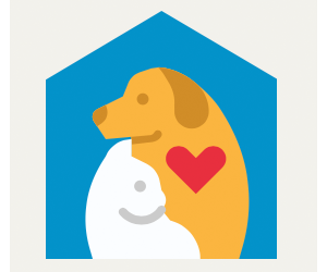 This week and every week, be kind to animals!