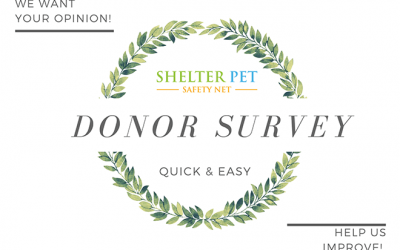 Shelter Pet Safety Net wishes everyone a happy holiday season!