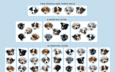 The Days are Getting Shorter…