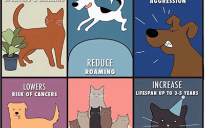 Happy Groundhog Day!