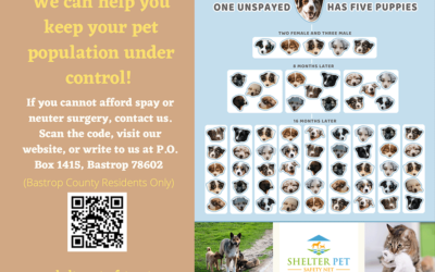 Special Postcard Advertising