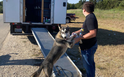 What is a transport volunteer?