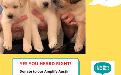 Tomorrow, March 2nd is Amplify Austin!