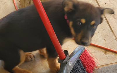 New Year!  New Photo!