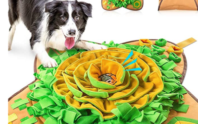 What is a Snuffle Mat?
